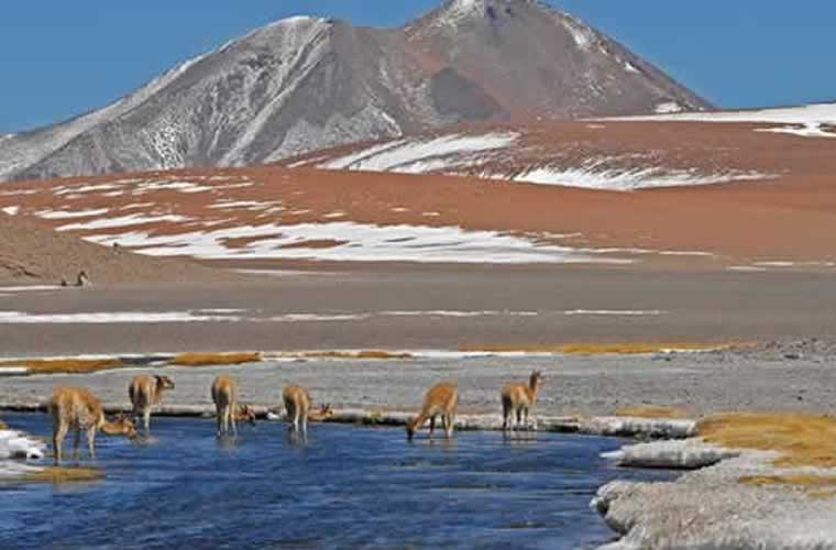 Partir en séjour au Chili et s’évader au cœur de la nature